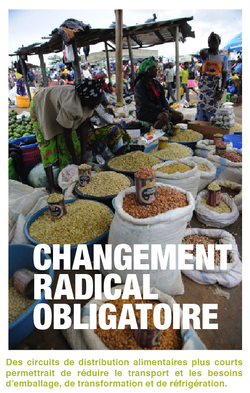 Changement Radical Fr with caption.png